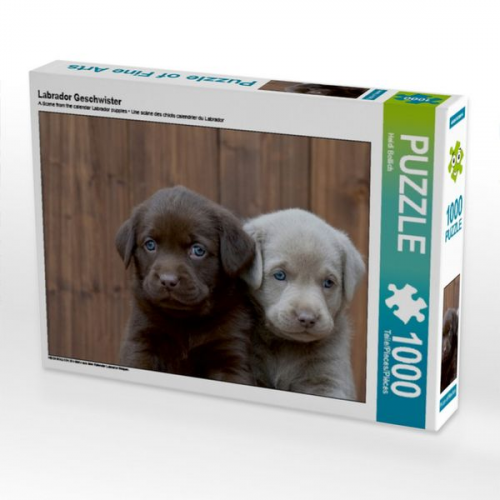 Labrador Geschwister (Puzzle)