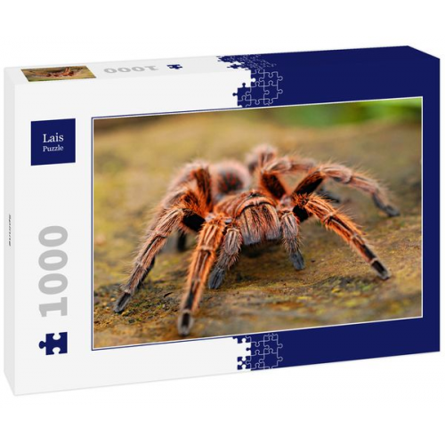 Lais Puzzle Spinne 1000 Teile