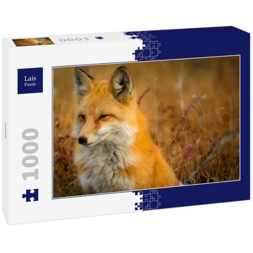 Lais Puzzle Fuchs 1000 Teile