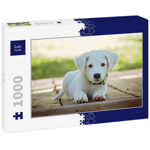 Lais Puzzle Hund 1000 Teile