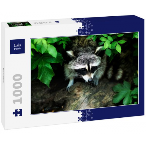 Lais Puzzle Waschbär 1000 Teile