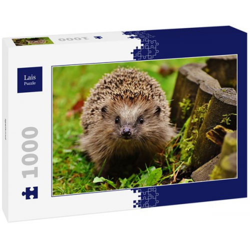 Lais Puzzle Igelkind 1000 Teile