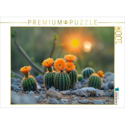 CALVENDO Puzzle Orange blühende Kakteen | 1000 Teile Lege-Größe 64x48cm Foto-Puzzle für glückliche Stunden