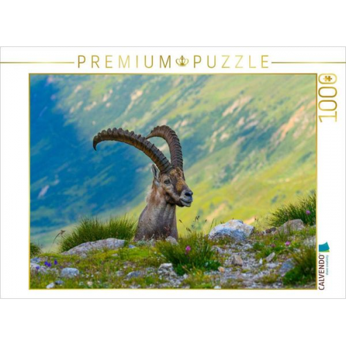 CALVENDO Puzzle Der König der Alpen | 1000 Teile Lege-Größe 64x48cm Foto-Puzzle für glückliche Stunden