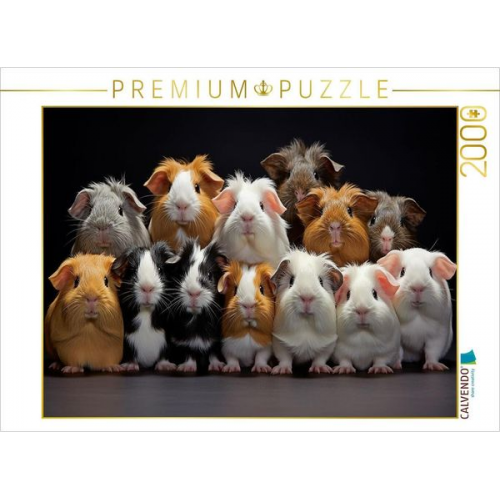 CALVENDO Puzzle Meerschweinchen übereinander | 2000 Teile Lege-Größe 90x67cm Foto-Puzzle für glückliche Stunden