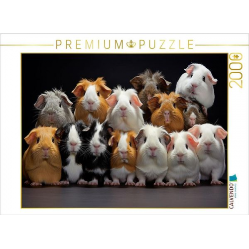 CALVENDO Puzzle viele Meerschweinchen übereinander | 2000 Teile Lege-Größe 90x67cm Foto-Puzzle für glückliche Stunden