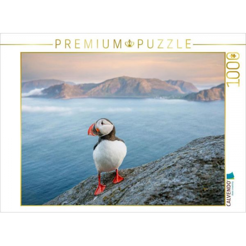 CALVENDO Puzzle Ein Motiv aus dem Kalender Die kleinen schönen | 1000 Teile Lege-Größe 64x48cm Foto-Puzzle für glückliche Stunden