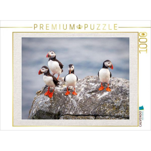 CALVENDO Puzzle Papageientaucher in ihrer natürlichen Umgebung | 1000 Teile Lege-Größe 64x48cm Foto-Puzzle für glückliche Stunden