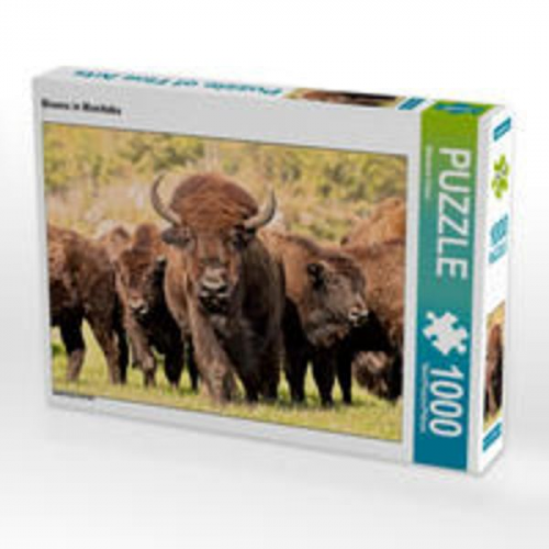 CALVENDO Puzzle Bisons in Manitoba 1000 Teile Lege-Größe 64 x 48 cm Foto-Puzzle Bild von Marianne Drews