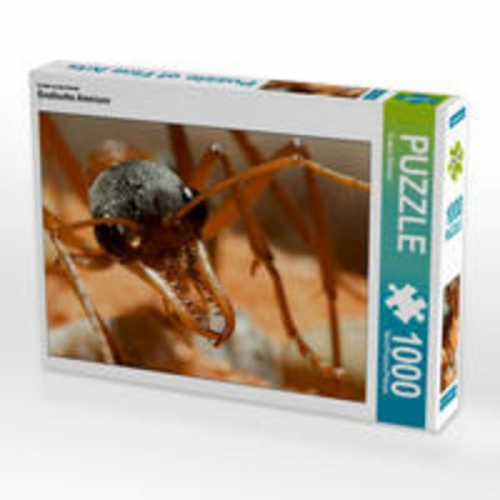 CALVENDO Puzzle Exotische Ameisen 1000 Teile Lege-Größe 64 x 48 cm Foto-Puzzle Bild von Roland Störmer