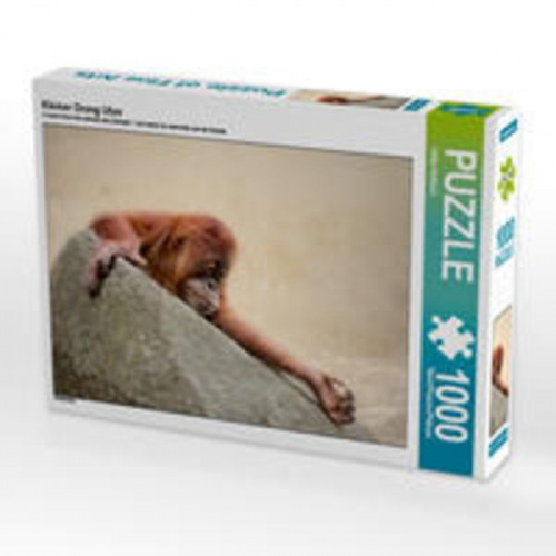 CALVENDO Puzzle Kleiner Orang Utan 1000 Teile Lege-Größe 64 x 48 cm Foto-Puzzle Bild von Heike Hultsch