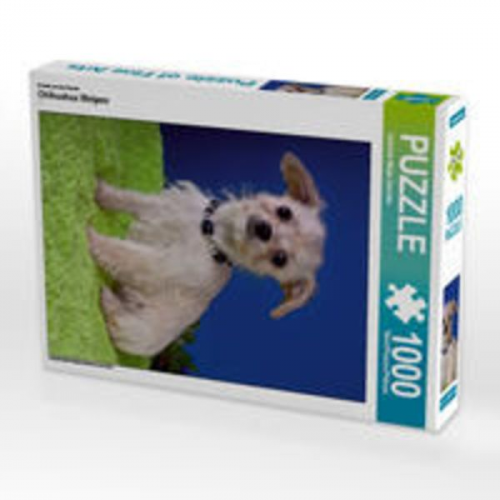 CALVENDO Puzzle Chihuahua Welpen 1000 Teile Lege-Größe 48 x 64 cm Foto-Puzzle Bild von Gabriela Wejat-Zaretzke