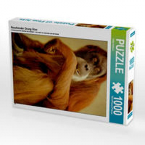 CALVENDO Puzzle Naschender Orang Utan 1000 Teile Lege-Größe 48 x 64 cm Foto-Puzzle Bild von Heike Hultsch