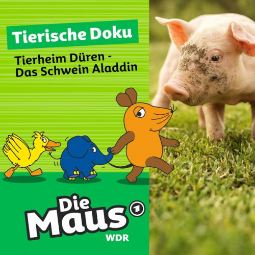 Die Maus - Tierheim Düren - Das Schwein Aladdin