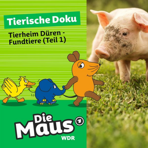 Die Maus - Tierheim Düren - Fundtiere (Teil 1)