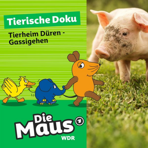 Die Maus - Tierheim Düren - Gassigehen