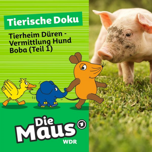 Die Maus - Tierheim Düren - Vermittlung Hund Boba (Teil 1)