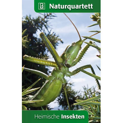 Heimische Insekten