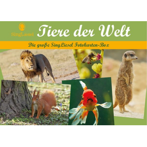 Tiere der Welt - Fotokarten für Senioren