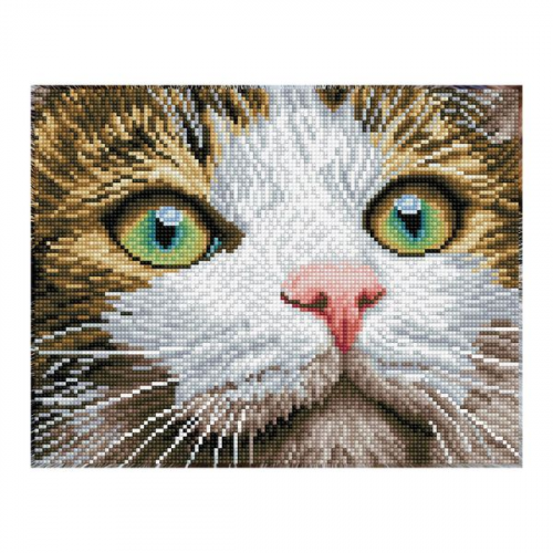 Diamond Dotz - Diamond Painting Katze mit grünen Augen