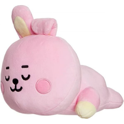 Aurora World - BT21 Baby - Cooky Kissen