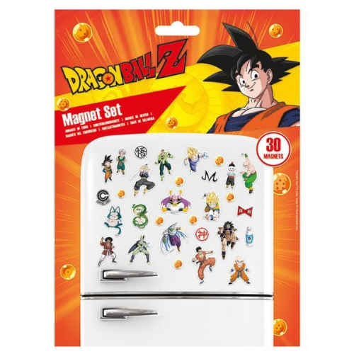 Dragonball Z Magnet Set