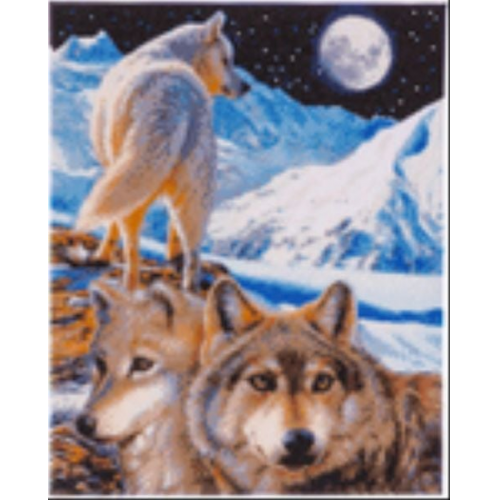 Craft Buddy CAK-CH2 - The Sentinel, 40x50cm Crystal Art Kit, Diamond Painting