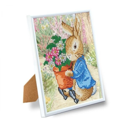 Craft Buddy CAM-PRBT01 - Peter Rabbit, Crystal Art Frame Kit 21x25cm