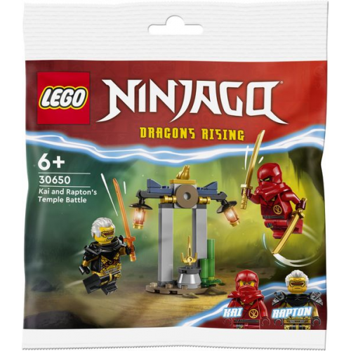 LEGO Ninjago 30650