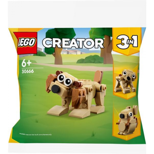 LEGO LEGO Creator 30666