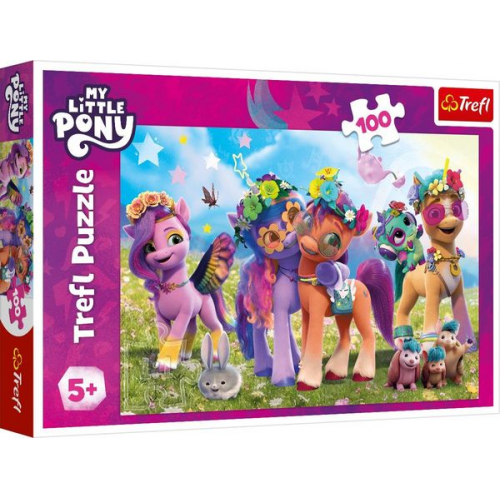 Puzzle 100 My little Pony