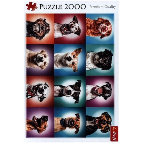 Lustige Hunde Porträts (Puzzle)