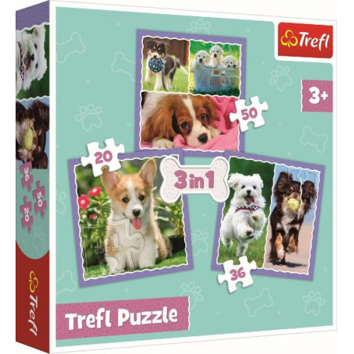 3 in 1 Puzzle - Hunde (Kinderpuzzle)