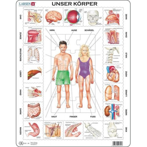 Unser Körper (Kinderpuzzle)