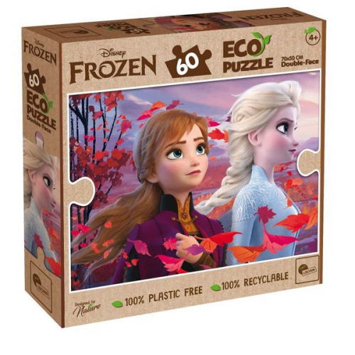 Disney Eco-Puzzle Df Frozen 60