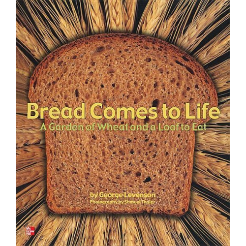 Reading Wonders Literature Big Book: Bread Comes to Life Grade K