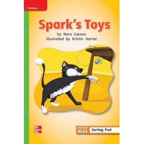 Reading Wonders Leveled Reader Spark's Toys: Beyond Unit 5 Week 1 Grade 1