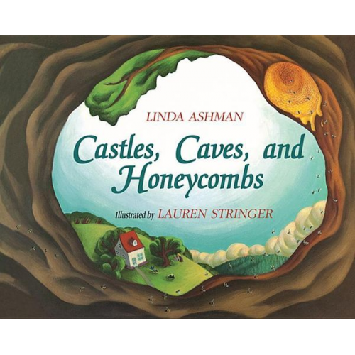 Castles, Caves, and Honeycombs Little Book