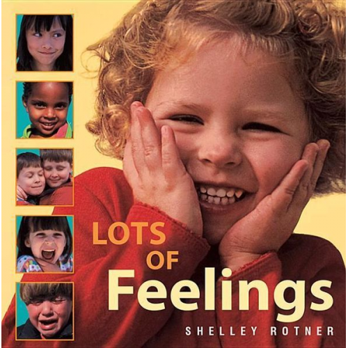 Lot's of Feelings Little Book