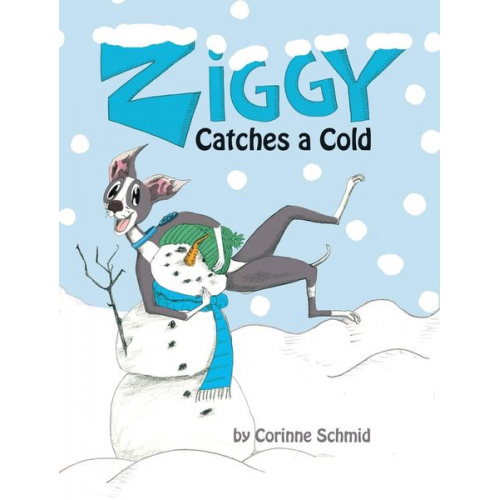 Corinne Schmid - Ziggy Catches a Cold