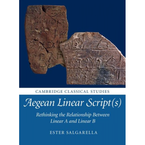 Ester Salgarella - Aegean Linear Script(s)