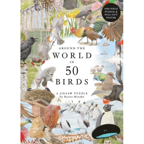 Around the World in 50 Birds