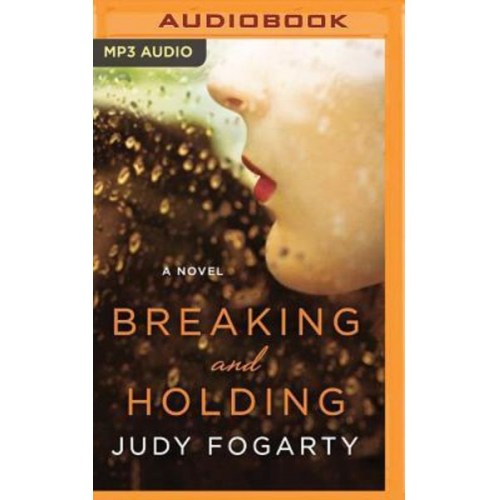 Judy Fogarty - Breaking and Holding