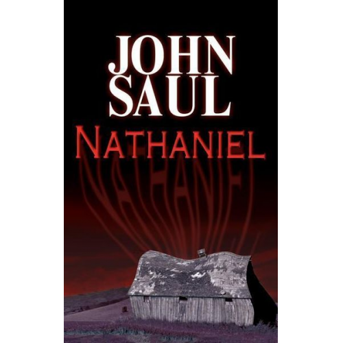 John Saul - Nathaniel