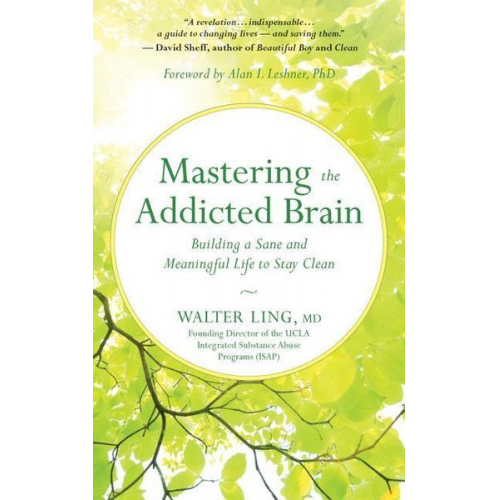 Walter Ling - Mastering the Addicted Brain: Building a Sane and Meaningful Life to Stay Clean