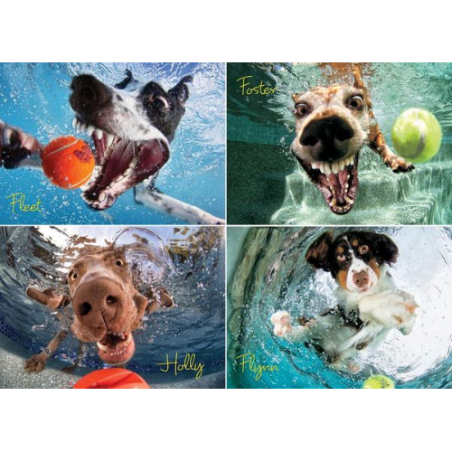 Underwater Dogs: Play Ball 1000-Piece Puzzle