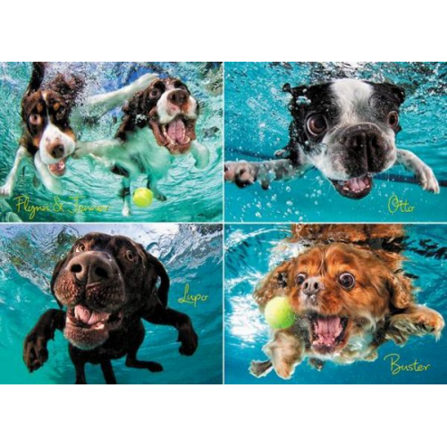 Underwater Dogs: Ruff Water 1000-Piece Puzzle