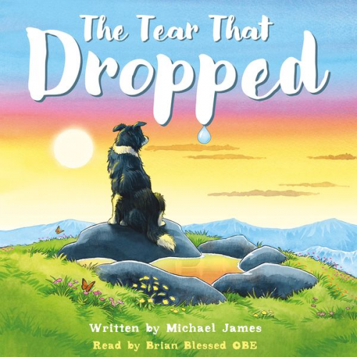 Michael James - The Tear that Dropped