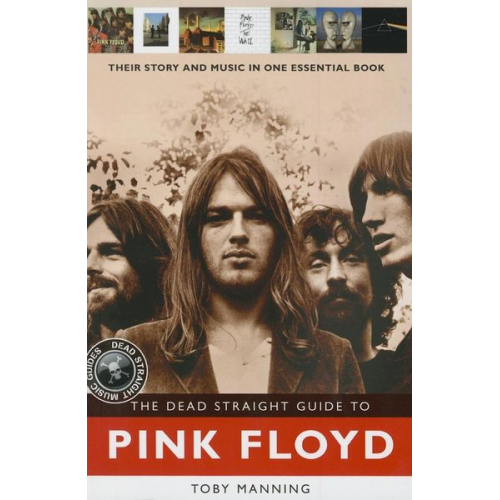 Roy Jones - The Dead Straight Guide to Pink Floyd