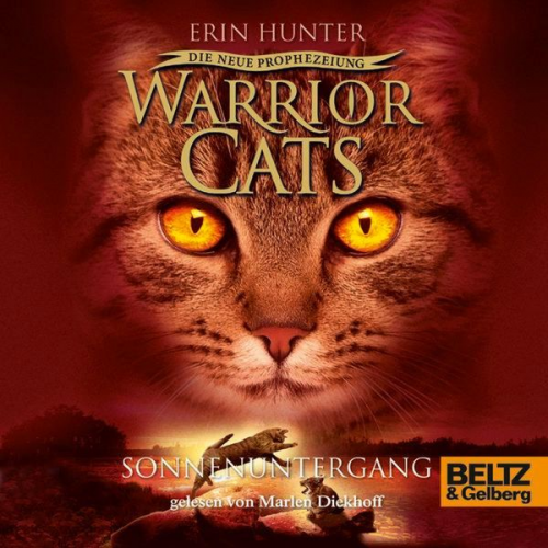 Erin Hunter Warrior Cats - Warrior Cats - Die neue Prophezeiung. Sonnenuntergang